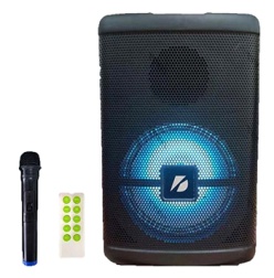 KTS-1279 8 inch Bluetooth Karaoke Speaker