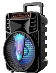 GTS-1505 15 inch Bluetooth Trolley Karaoke Speaker