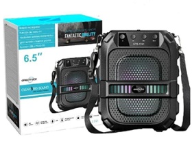 GTS-1191 6.5 inch Bluetooth Karaoke Speaker