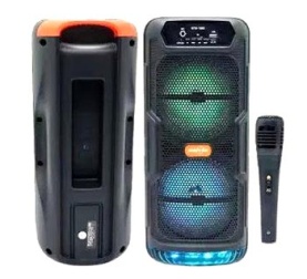 GTS-1565 6.5 inch Dual Bluetooth Karaoke Speaker